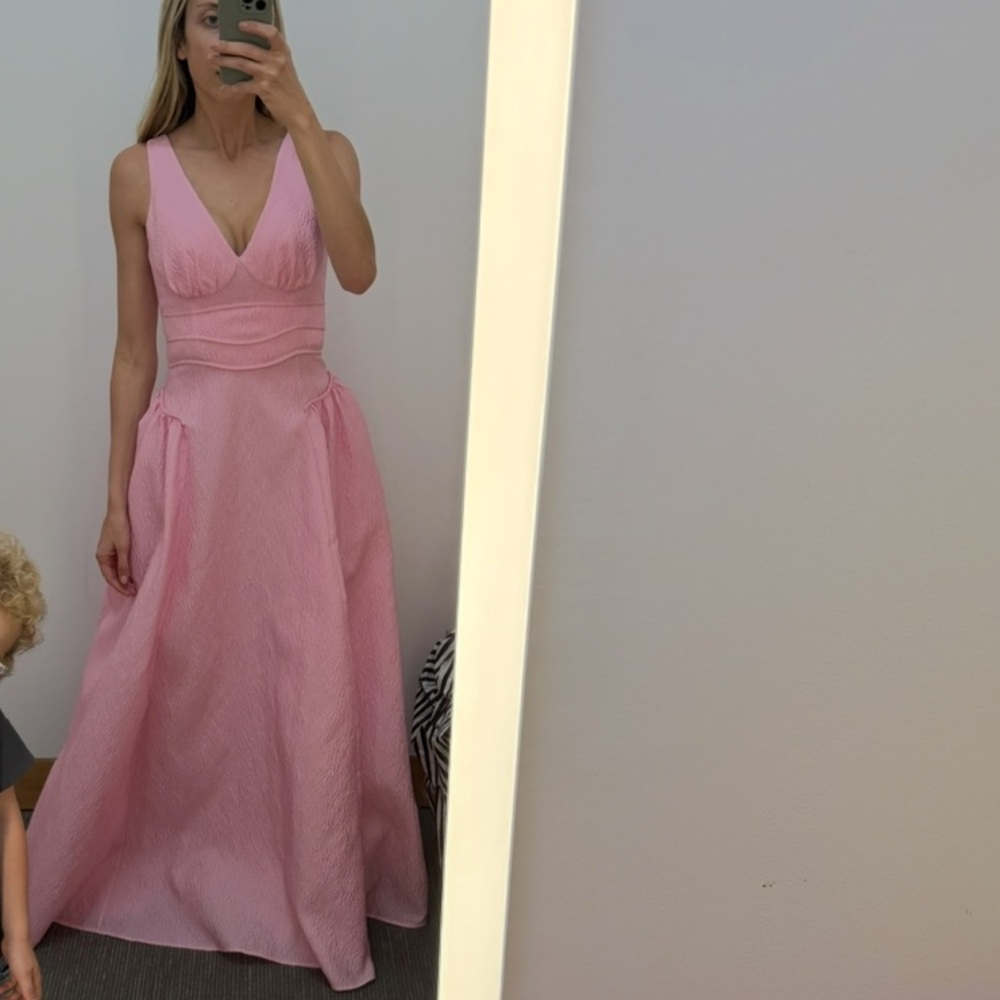 Rachel Gilbert Pink Sleeveless V-Neck Maxi Gown